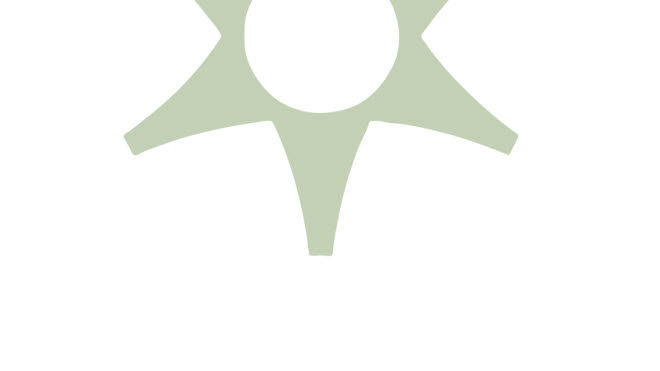 DiVA logo