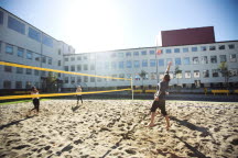 Volleyboll