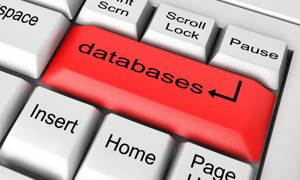 Databaser