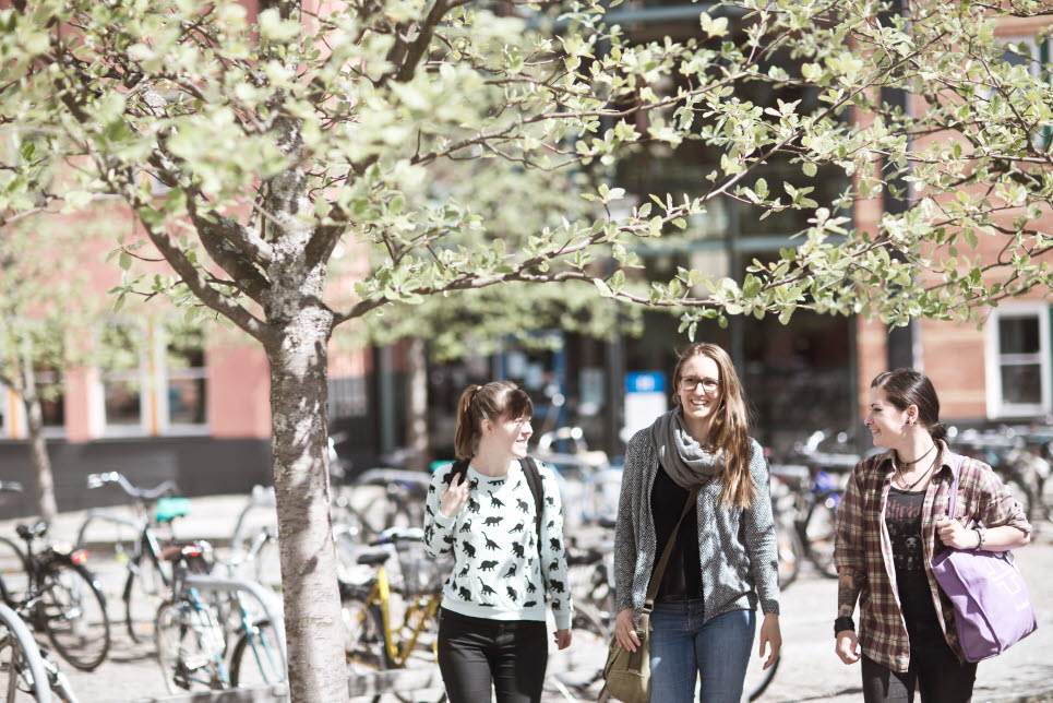 Studenter, Sundsvall, utomhus